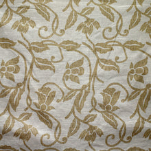 Load image into Gallery viewer, Fiji